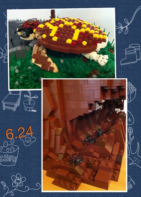 20120624d.jpg