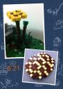 20120621.jpg