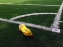 worldcup