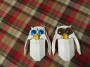 Owls