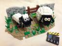 Shaun