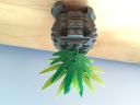 Oddish