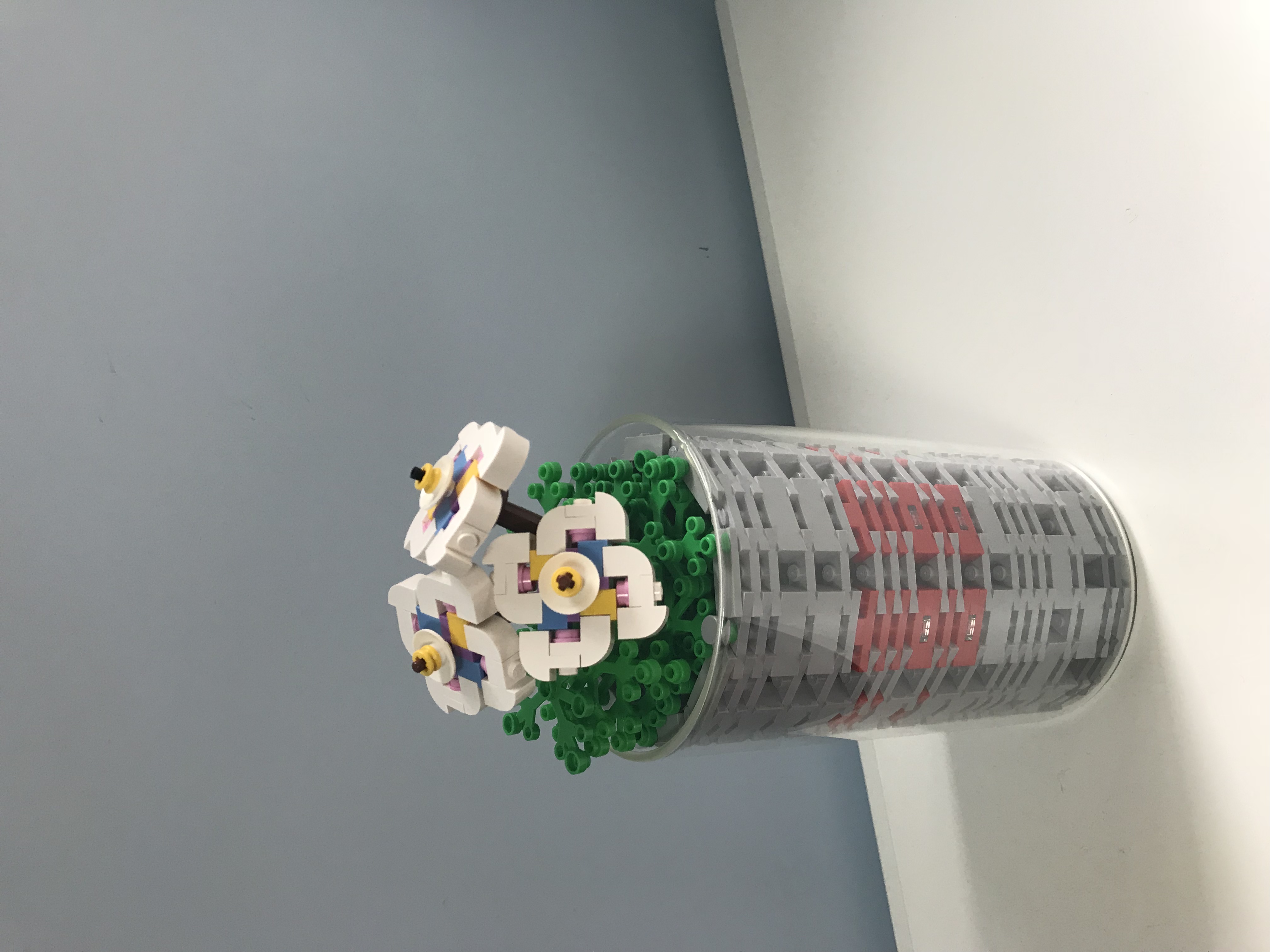 513b5f41-a4a2-4d65-a4f6-1970d742a199.jpeg