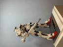 img_9630.jpeg