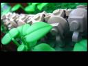 bugslife003.jpg