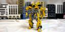 bumblebee