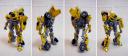 bumble_bee_2014_f.jpg