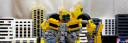 bumble_bee_2014_w.jpg