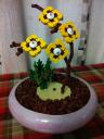20130219b.jpg