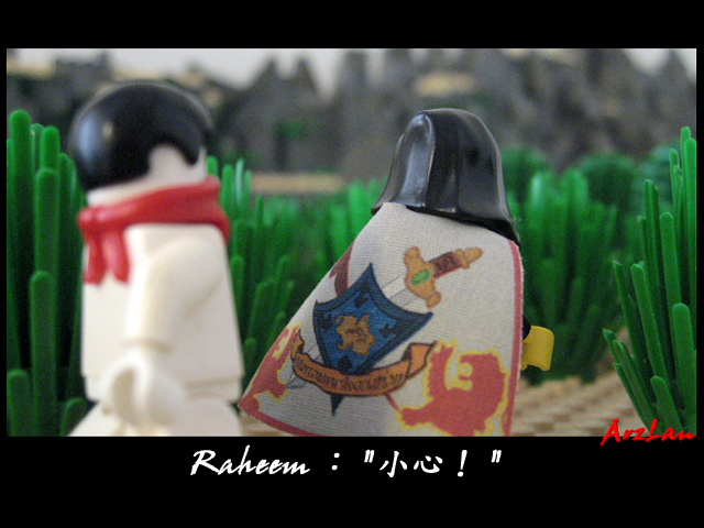lss013_09.jpg