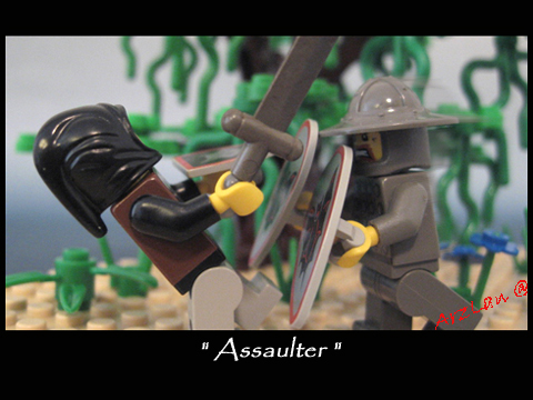 assaulter.jpg