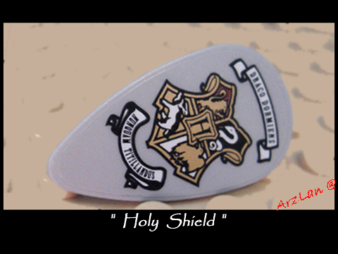 lss002_shield.jpg
