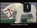 ss001_horse.jpg