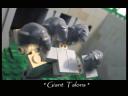 lss003_giant_talons.jpg