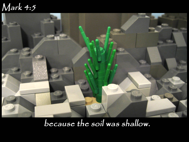 mark_4_05c.jpg