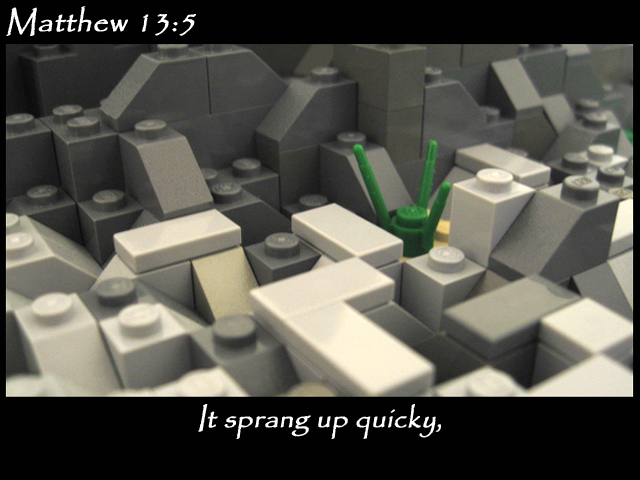 matthew_13_05b.jpg