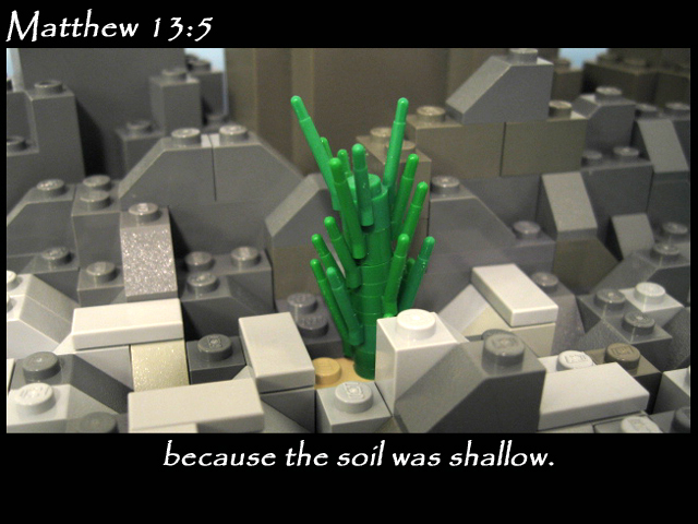 matthew_13_05c.jpg