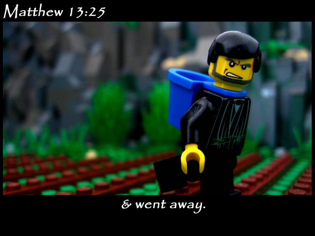 matthew_13_25c.jpg