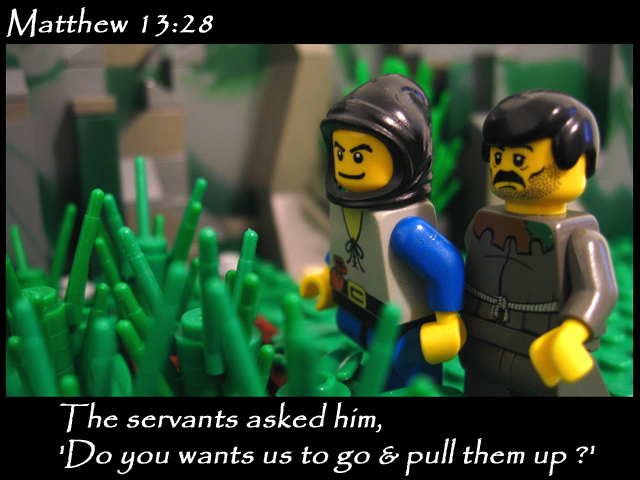 matthew_13_28b.jpg