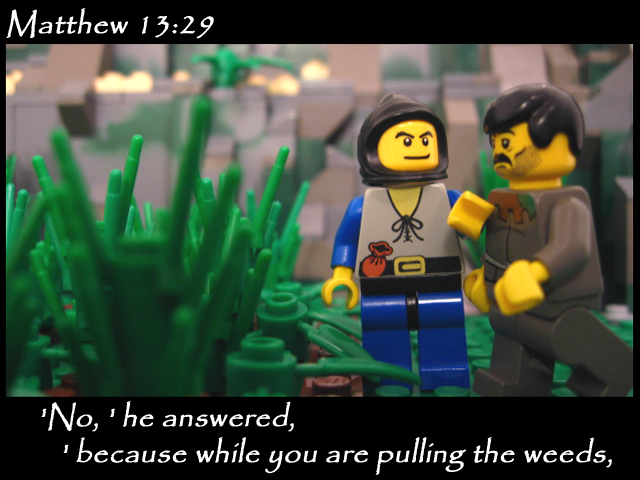 matthew_13_29a.jpg