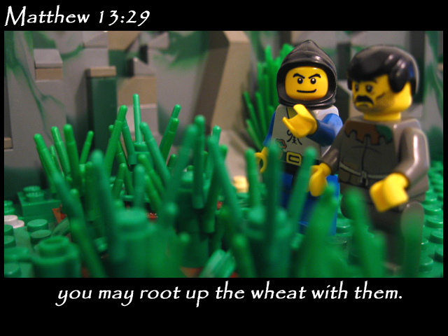 matthew_13_29b.jpg