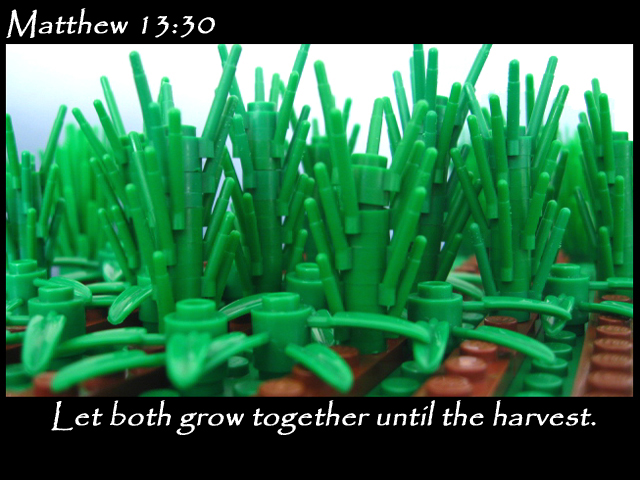 matthew_13_30a.jpg