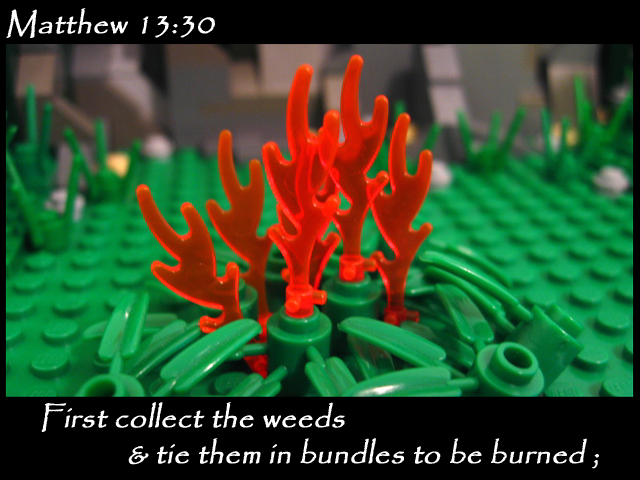 matthew_13_30c.jpg