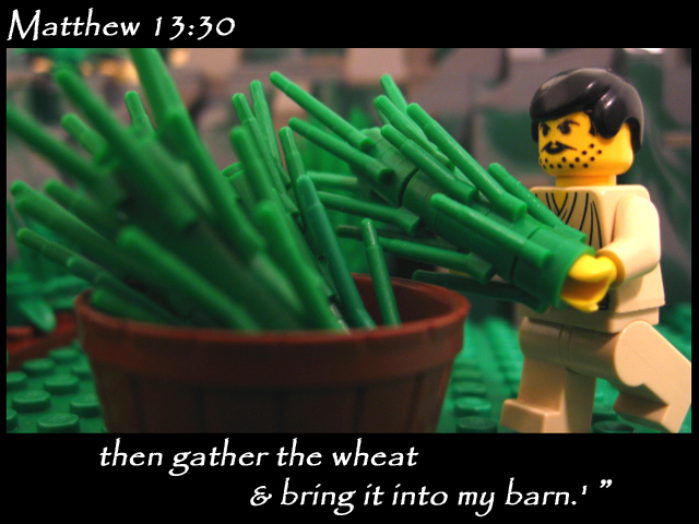 matthew_13_30d.jpg