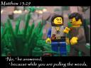 matthew_13_29a.jpg