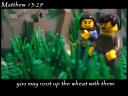 matthew_13_29b.jpg