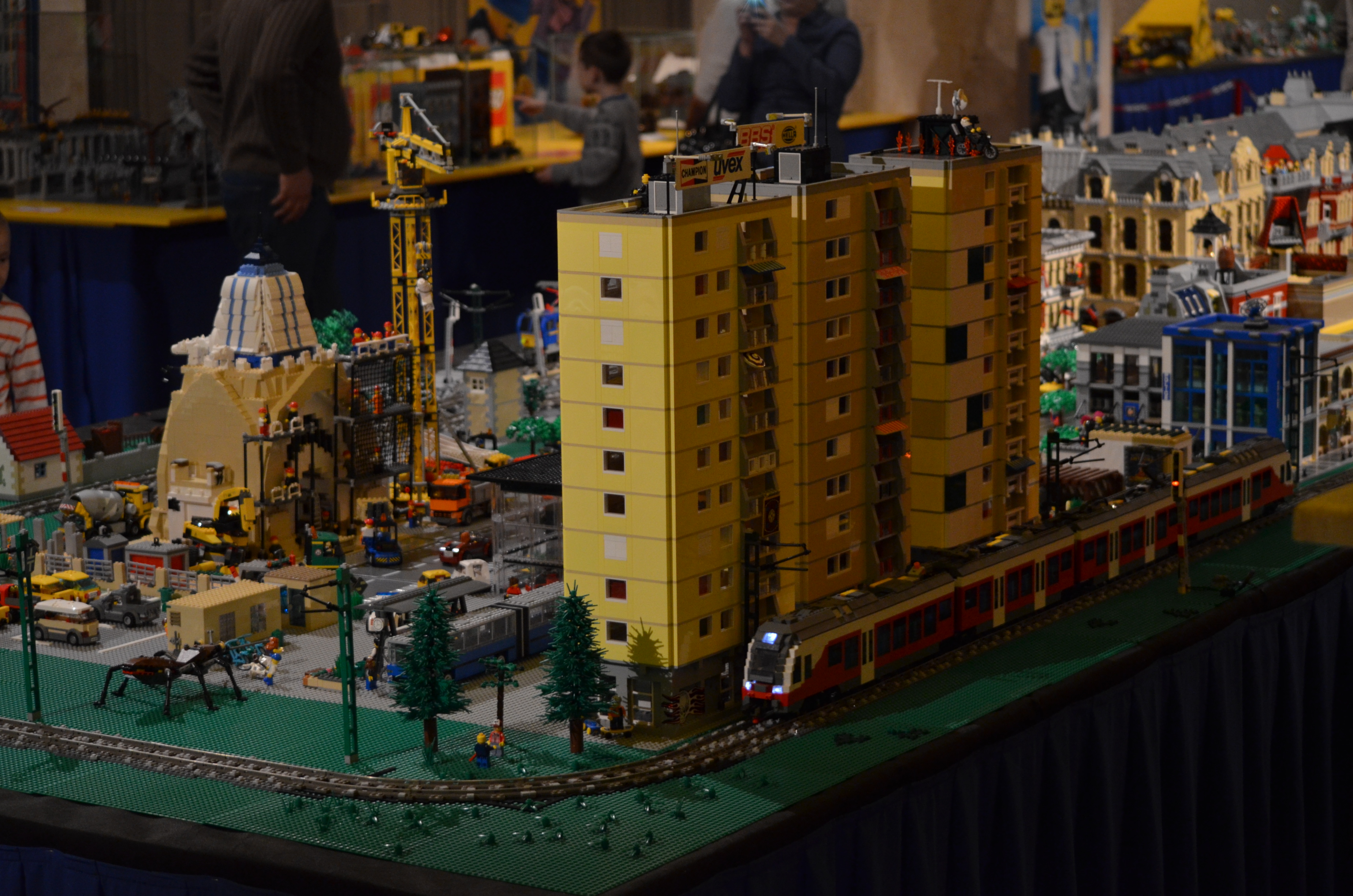 dsc_2379.jpg