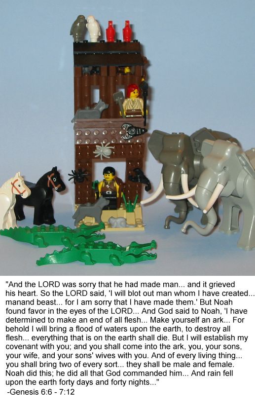 noah1.jpg