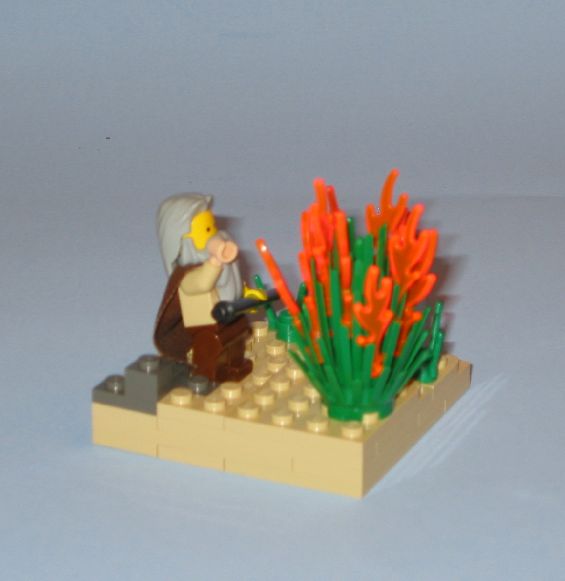 moses3b.jpg