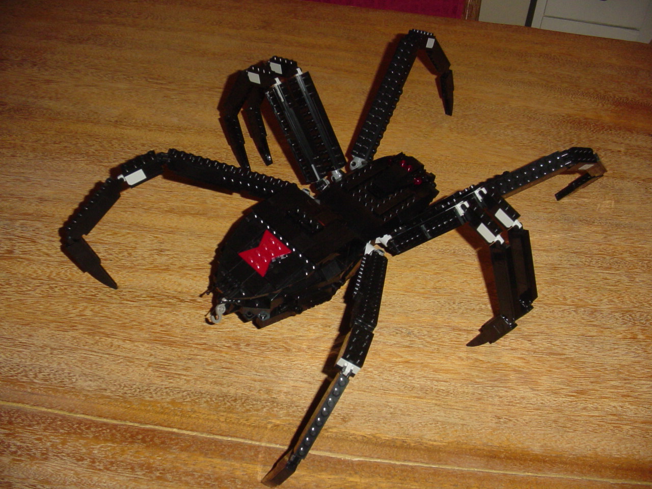 bugs01.jpg