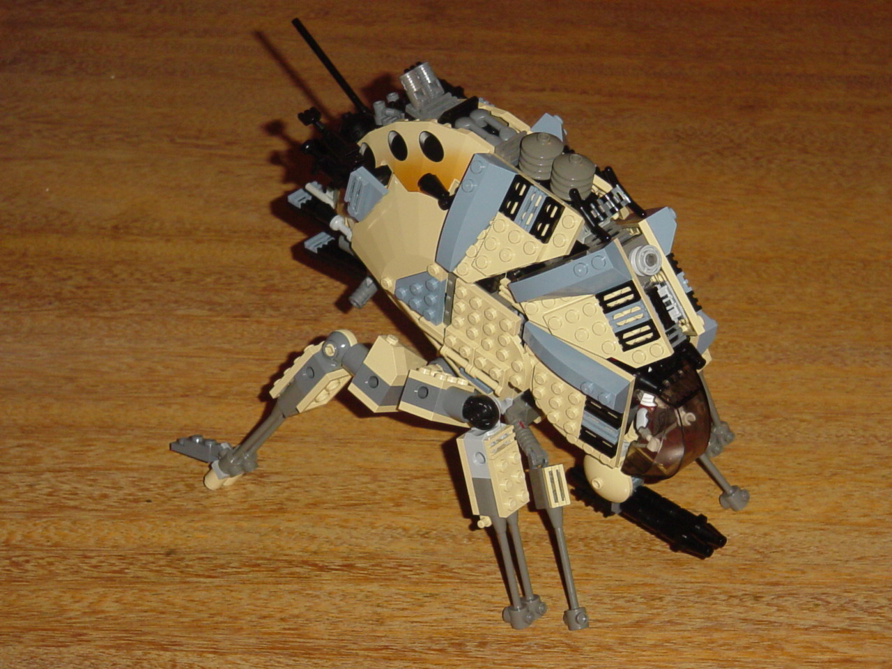 bugs08.jpg