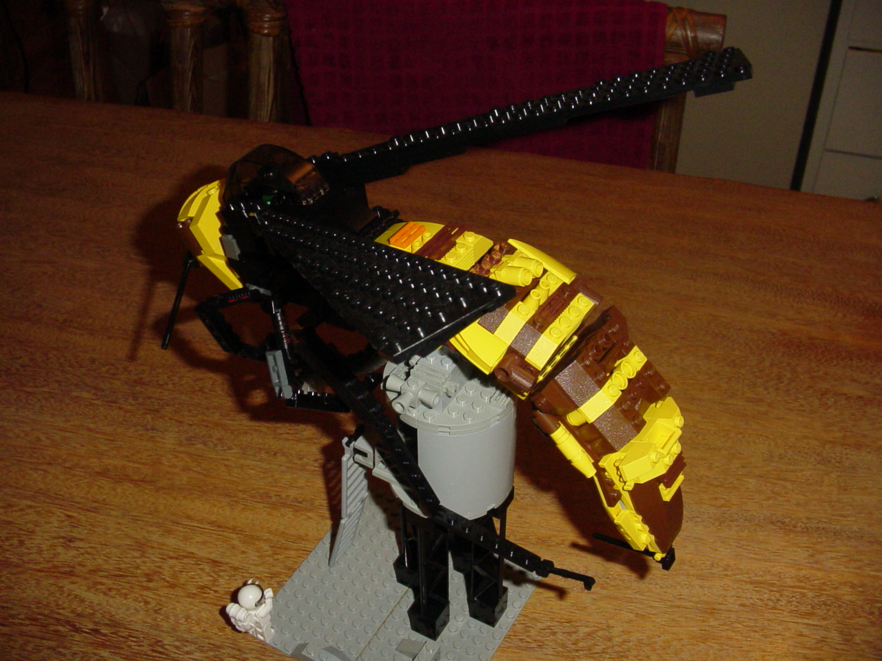 bugs20.jpg