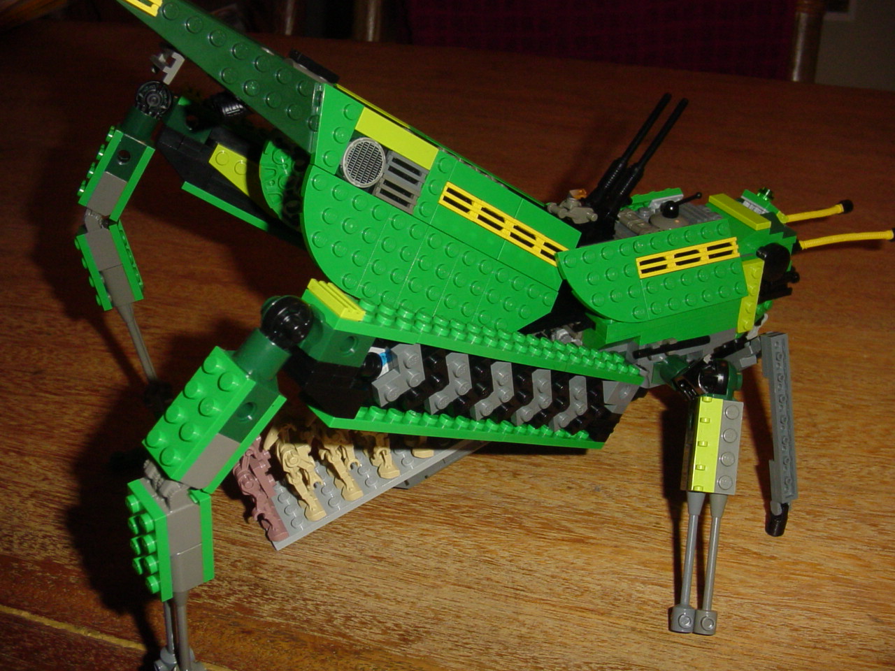 bugs31.jpg