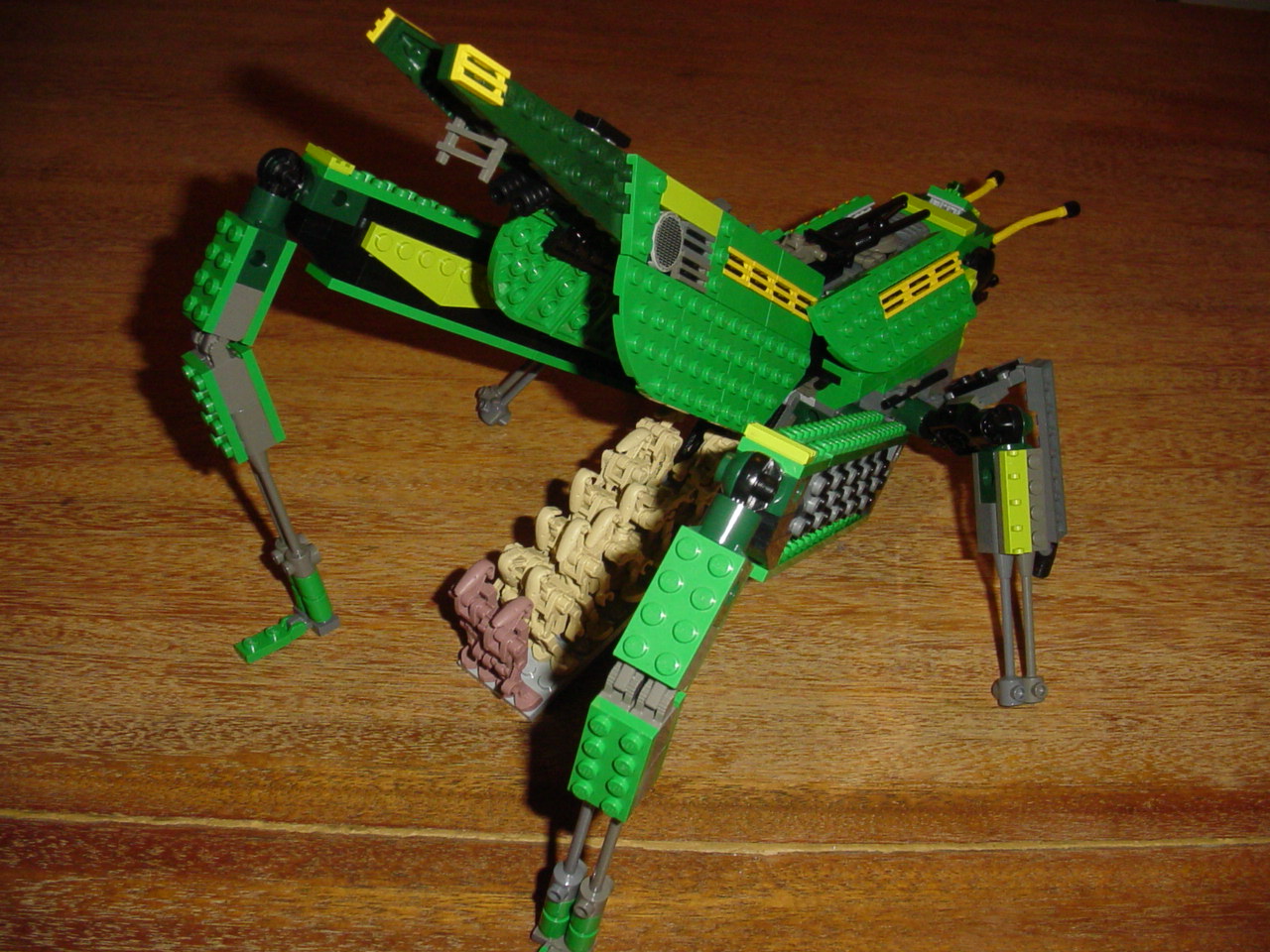 bugs33.jpg