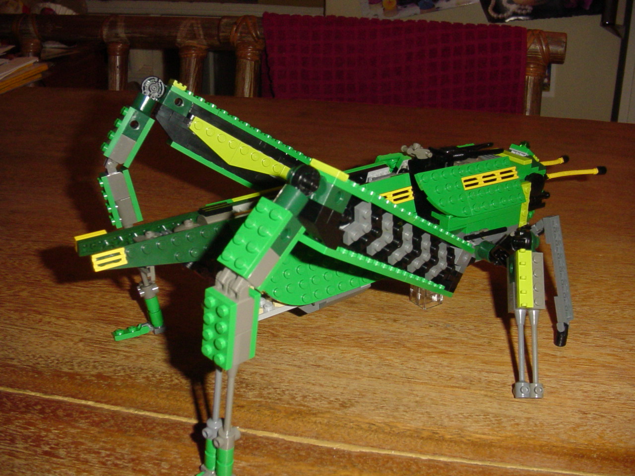 bugs34.jpg