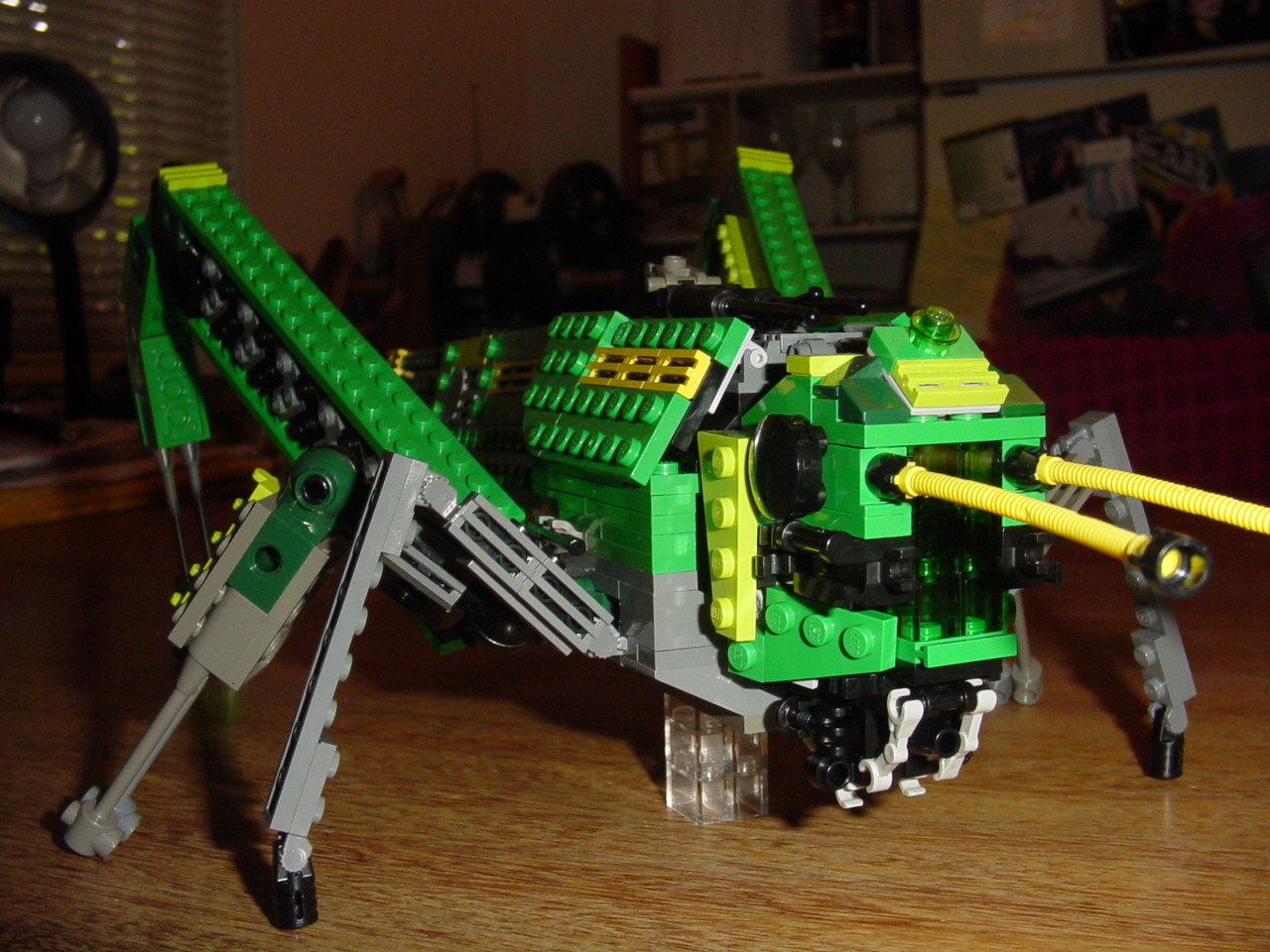 bugs36.jpg