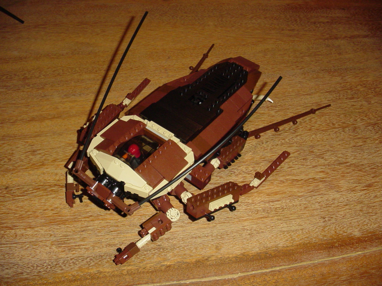 bugs47.jpg