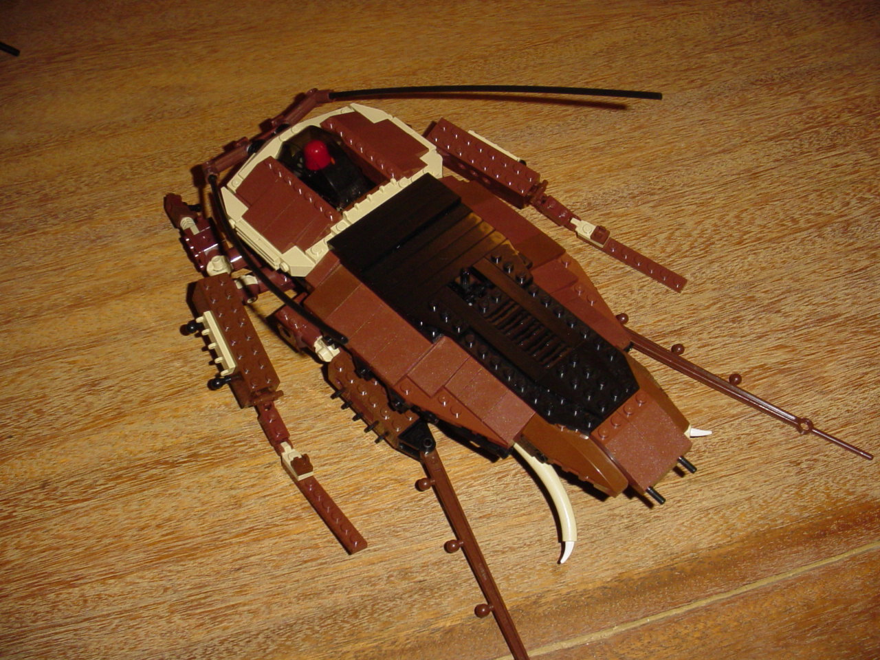 bugs49.jpg