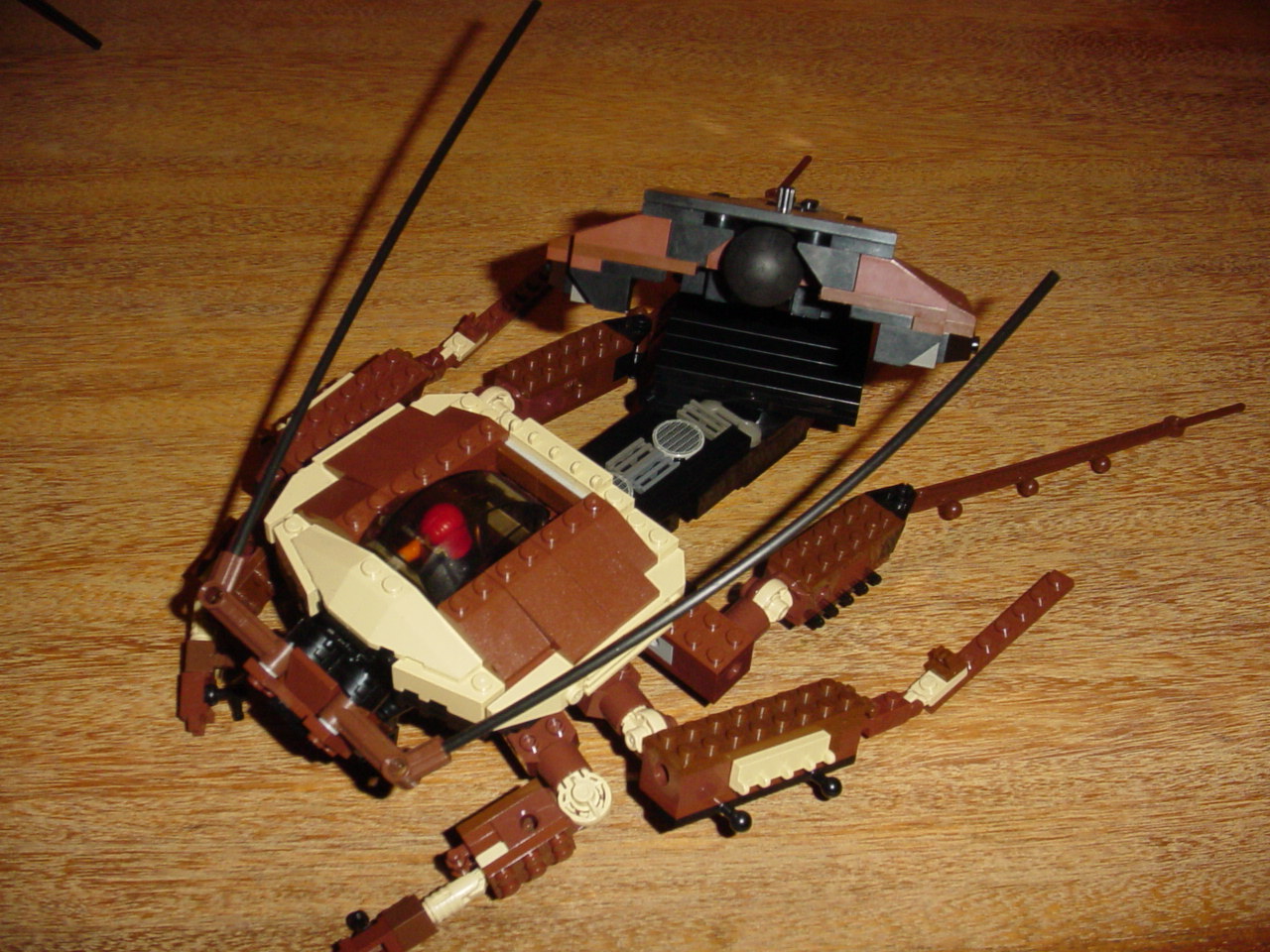 bugs50.jpg