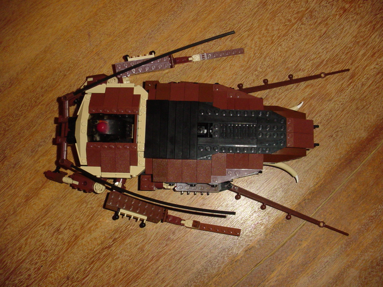 bugs53.jpg
