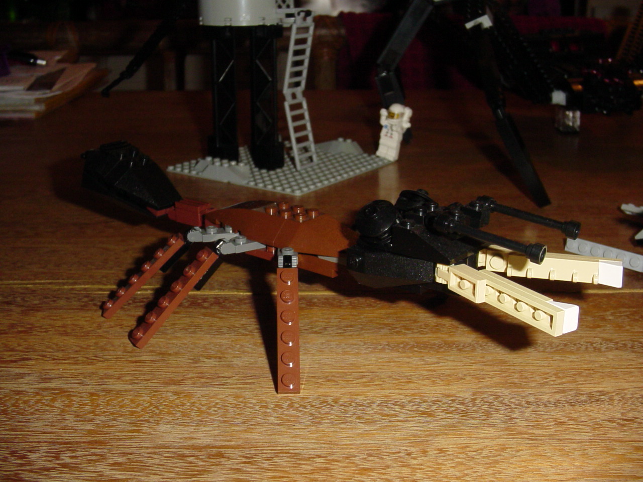bugs54.jpg