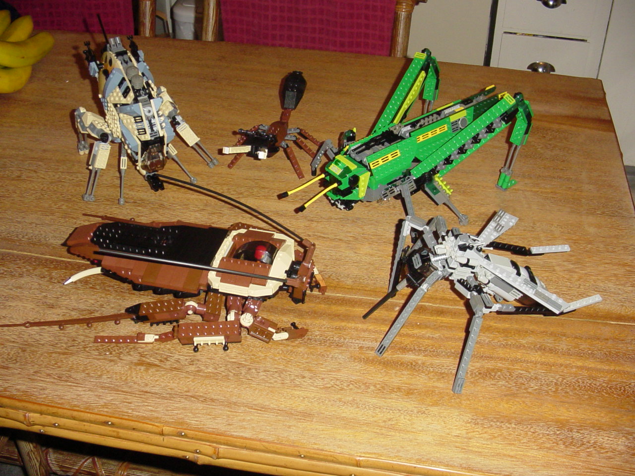 bugs61.jpg