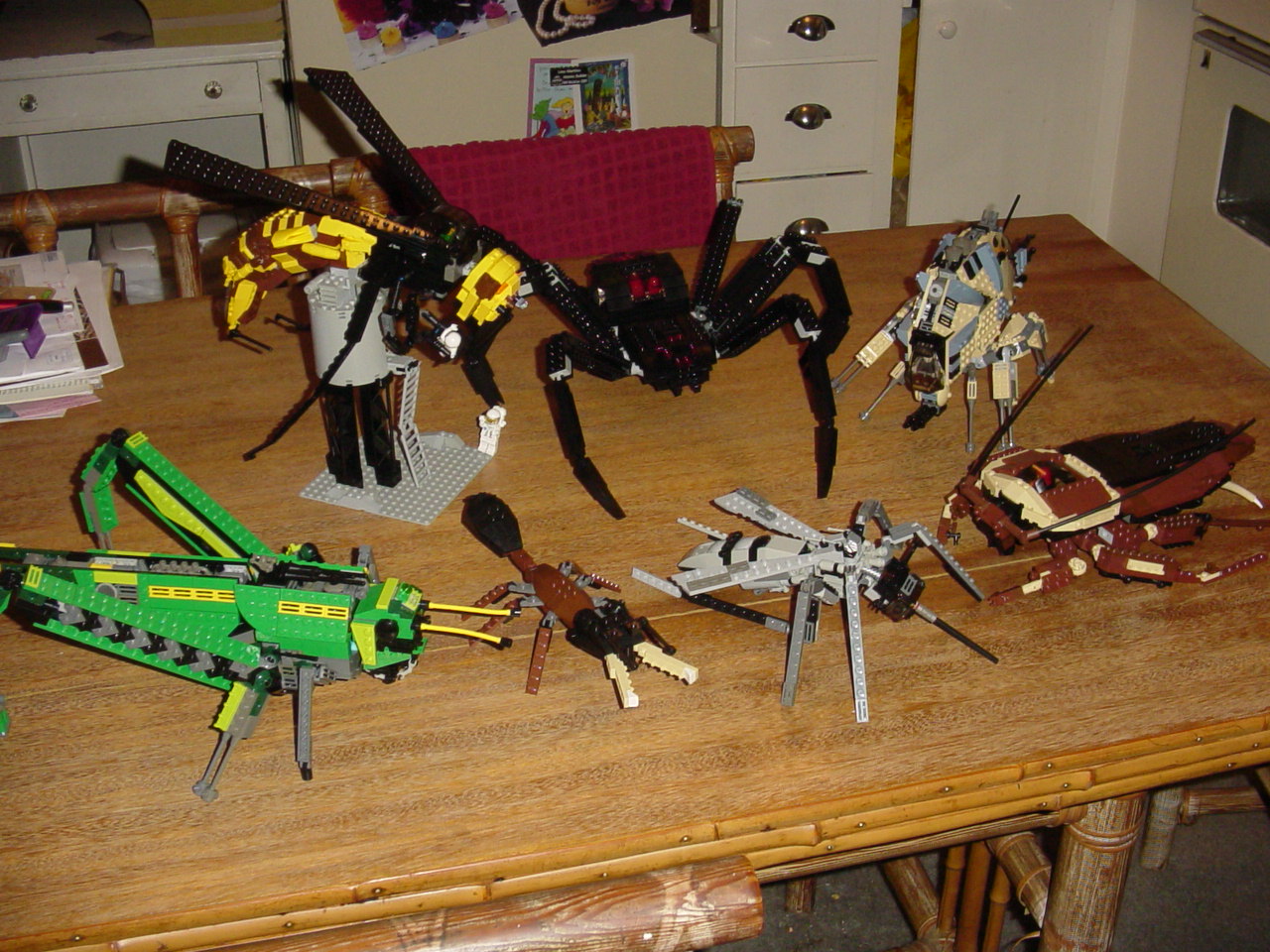 bugs62.jpg