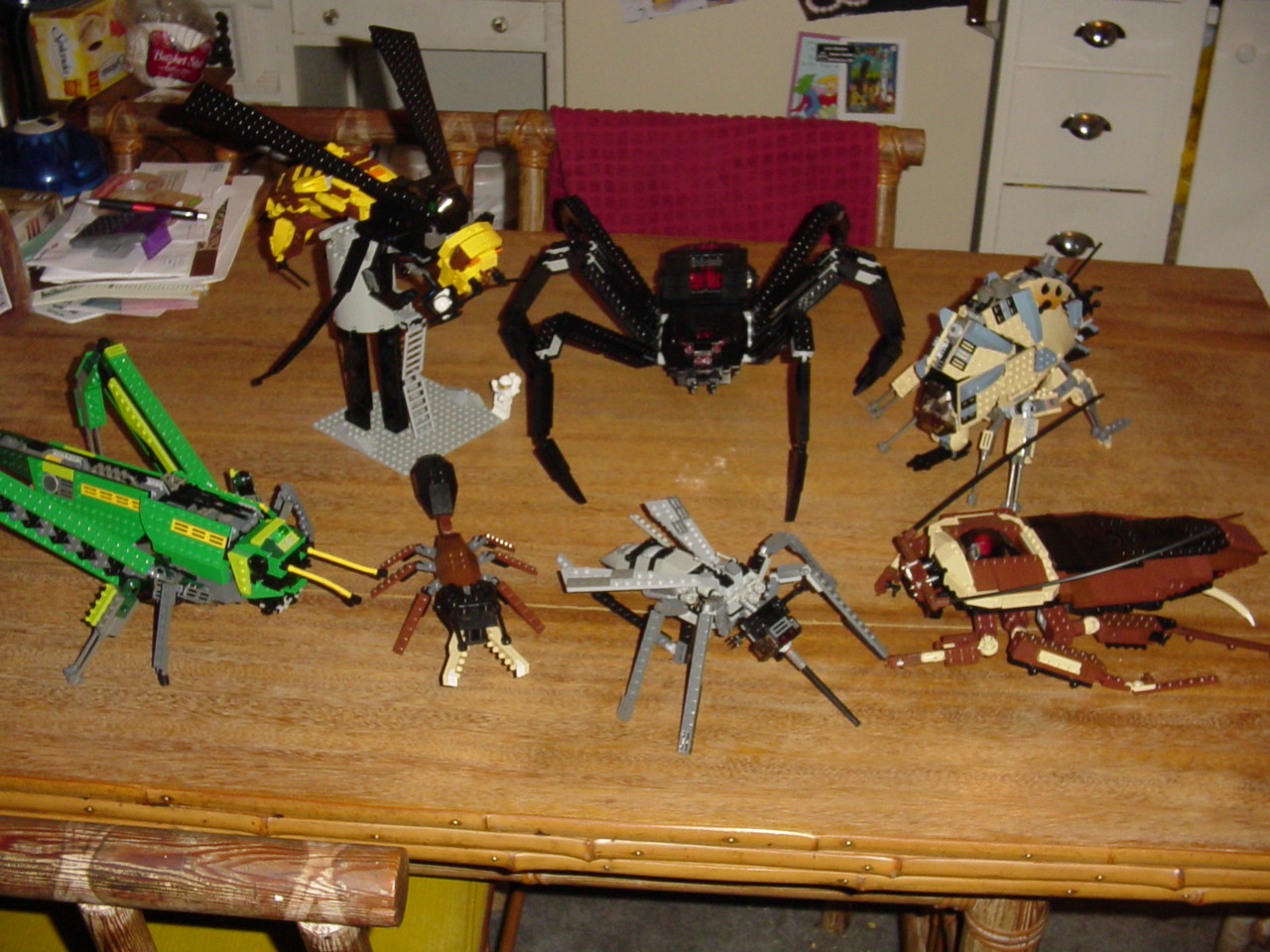 bugs63.jpg