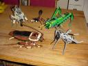 bugs61.jpg