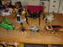 bugs63.jpg